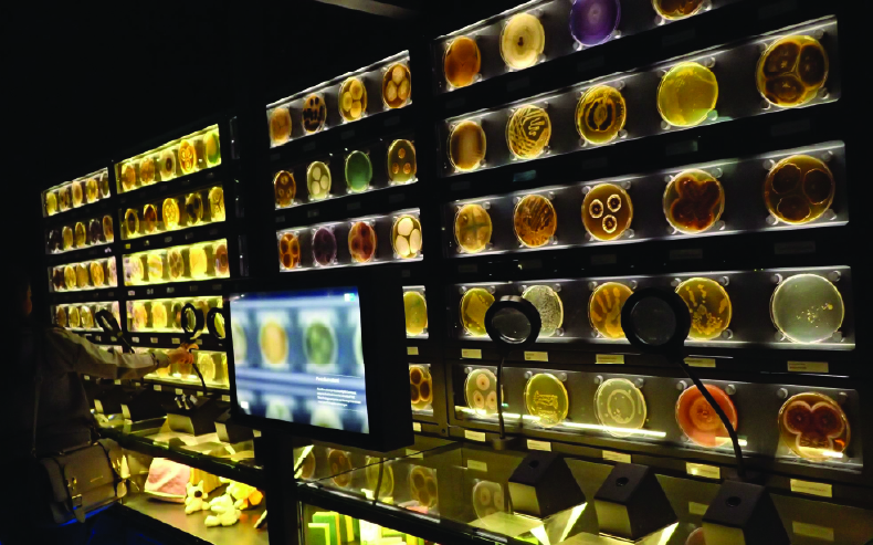 Micropia Müzesi