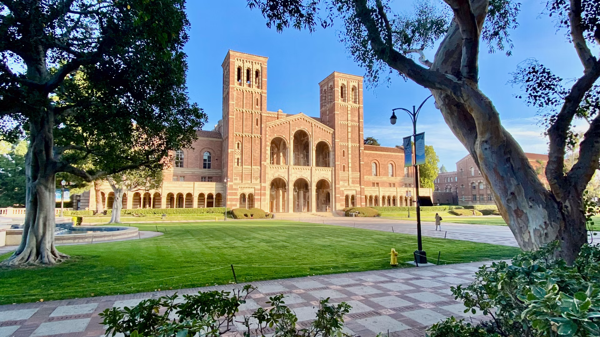 California Üniversitesi, Los Angeles