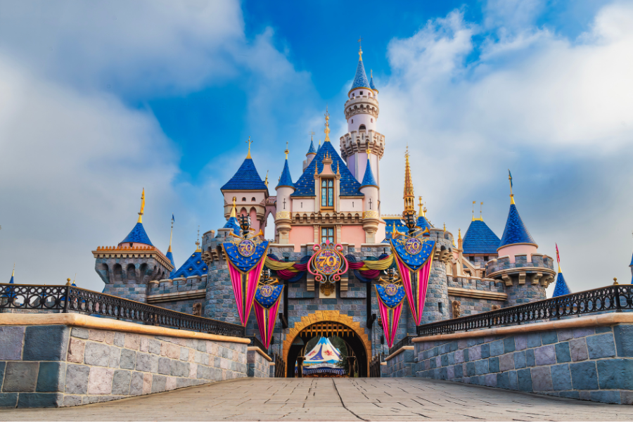 Paris & Disneyland Programı